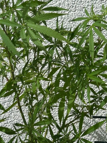 Growreport Bild 12