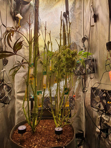 Growreport Bild 23