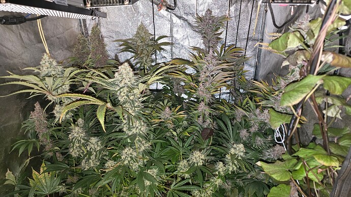Growreport Bild 26