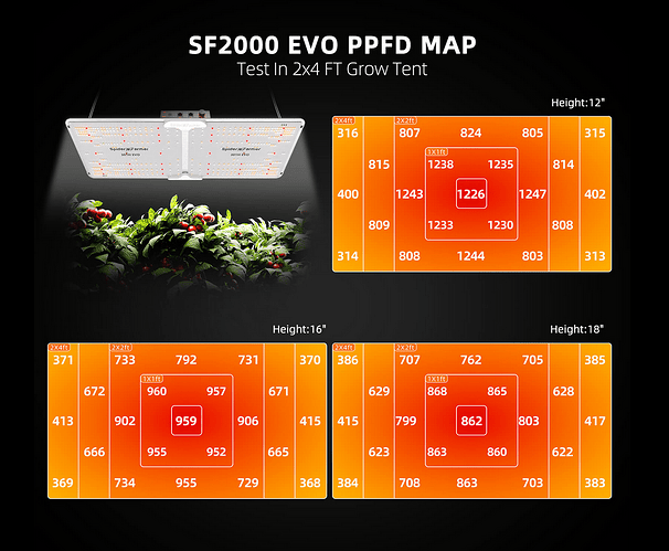 SF 2000