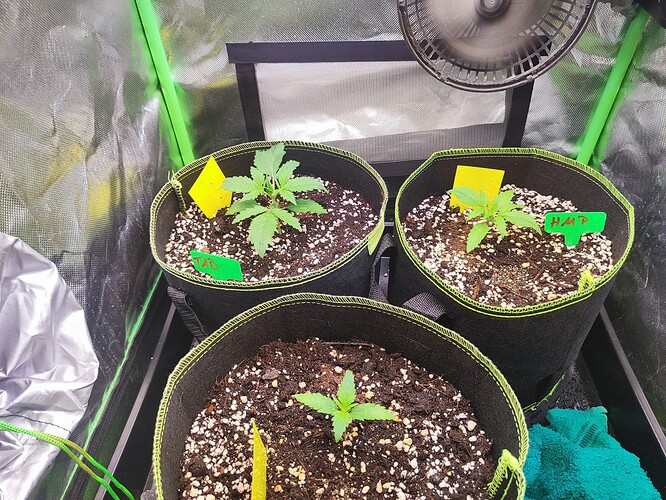 Growreport Bild 1