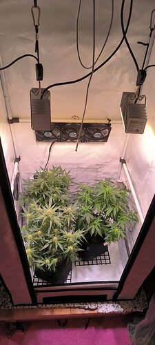 Growreport Bild 4