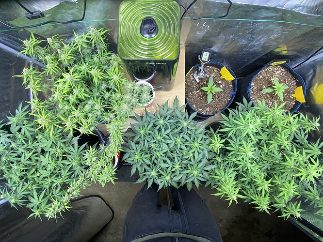 Growreport Bild 13