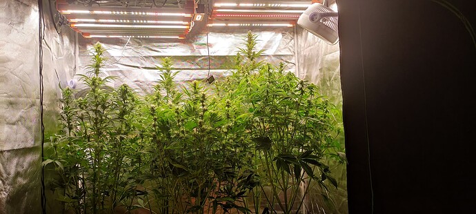 Growreport Bild 16