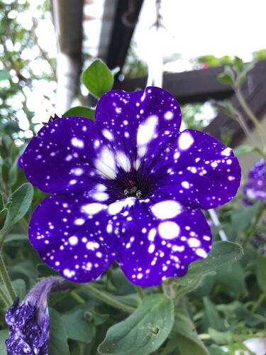 Growreport Bild 28