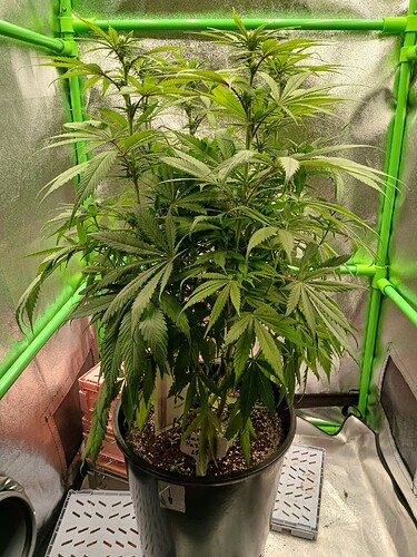 Growreport Bild 13