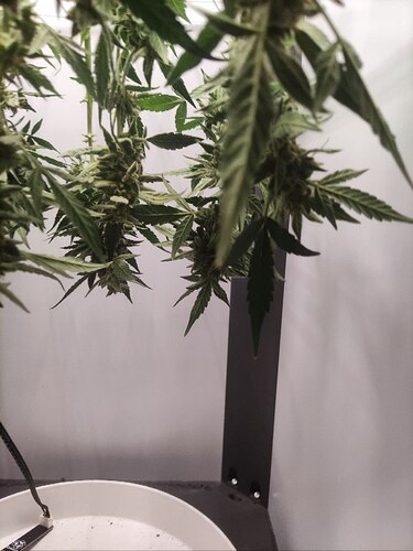 photo_2_2024-08-23_20-47-18