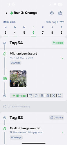 Growreport Bild 5
