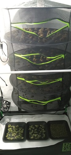 Growreport Bild 6