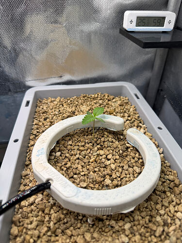Growreport Bild 5