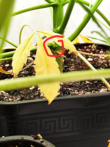 Growreport Bild 7