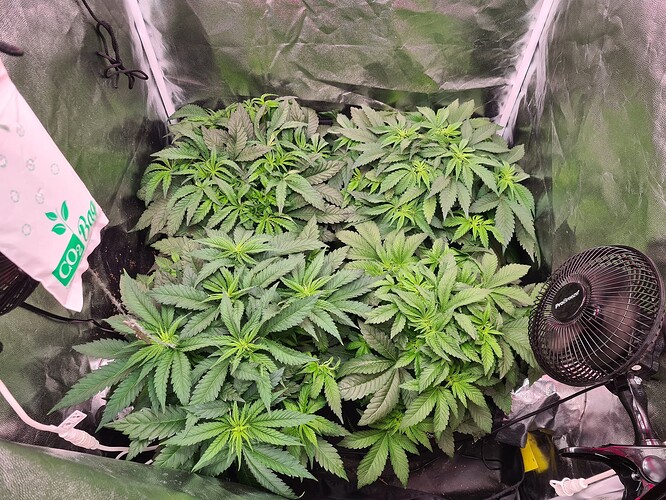 Growreport Bild 2