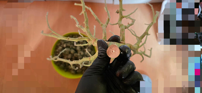 Growreport Bild 51