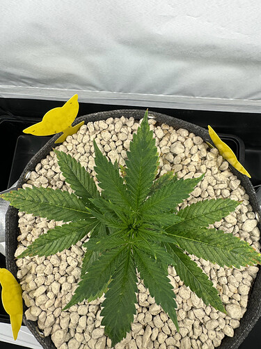 20240427_150515873_iOS