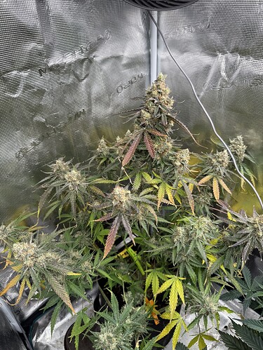 Growreport Bild 12