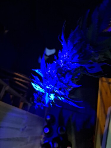 Growreport Bild 2