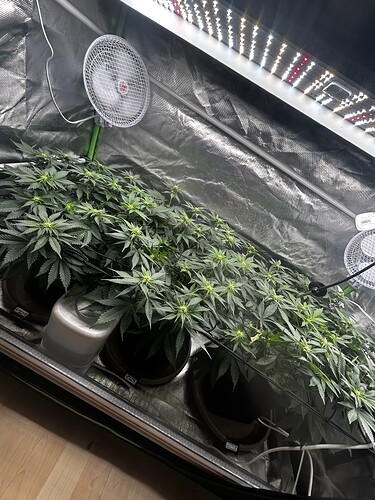 Growreport Bild 19