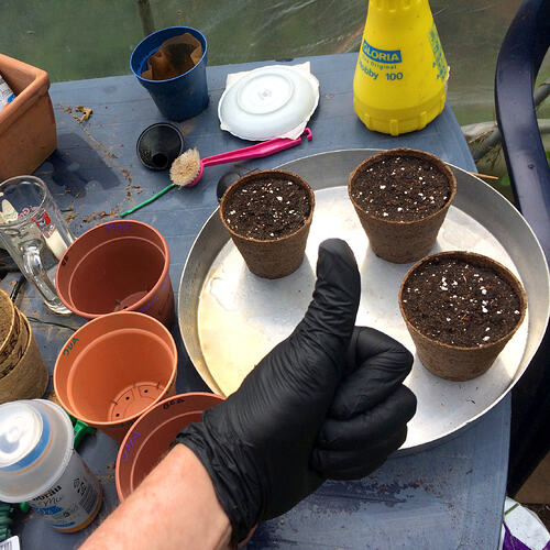 Grow26_0608_02