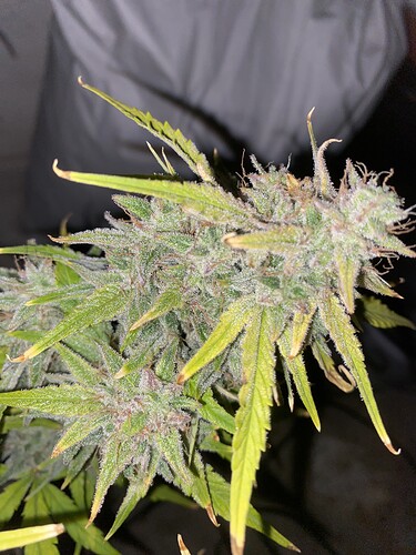 Growreport Bild 20