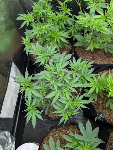 Growreport Bild 23