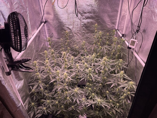 Growreport Bild 3