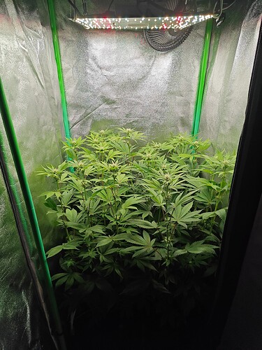 Growreport Bild 7