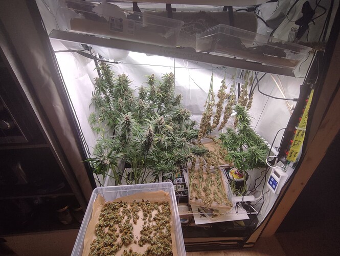 Growreport Bild 5