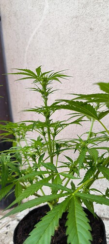 Growreport Bild 11