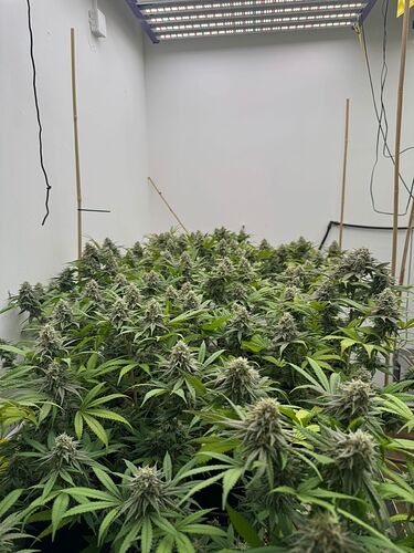 02090a60-6f27-44fd-a270-270953c351ef