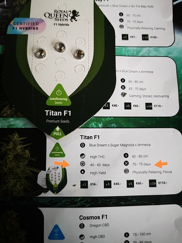 IMG_20240524_145503_edit_448324809460757