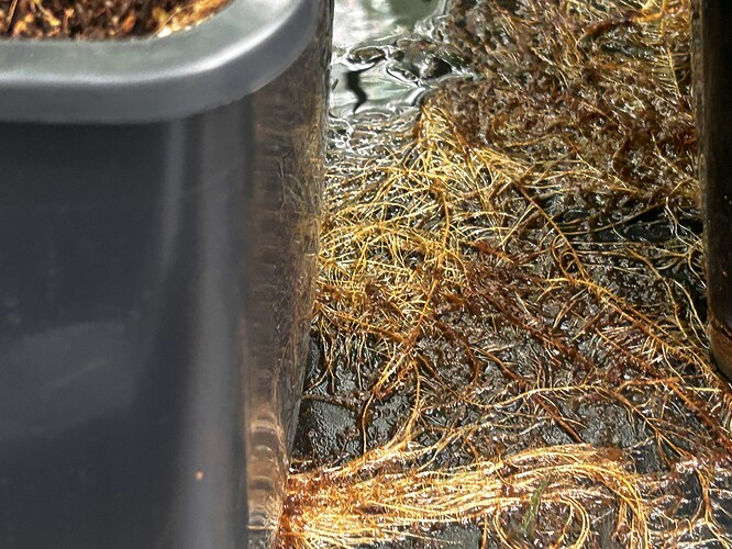 Growreport Bild 5
