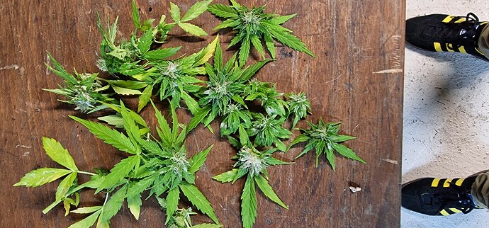 Growreport Bild 11