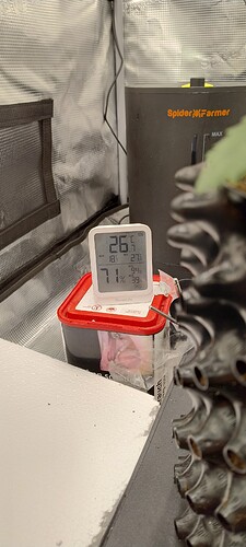 IMG_20250110_104557134_HDR