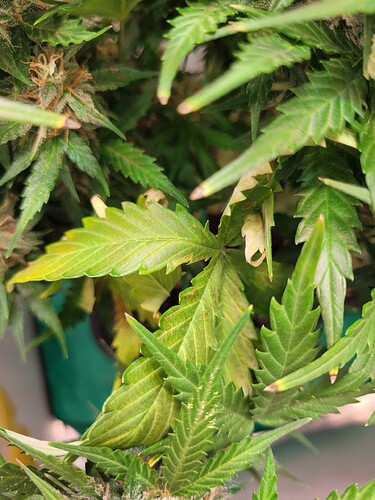 Growreport Bild 8