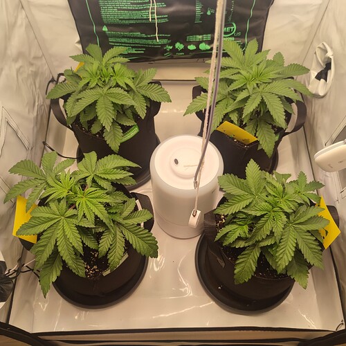 Growreport Bild 5