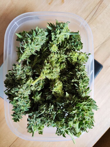 Growreport Bild 6