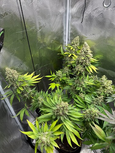 Growreport Bild 14