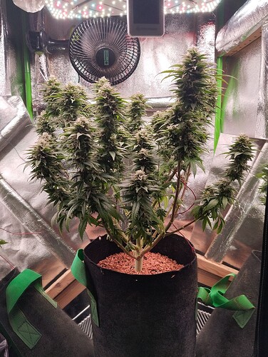 Growreport Bild 12