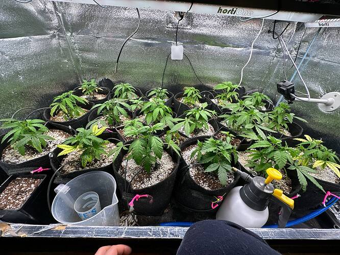 Growreport Bild 8