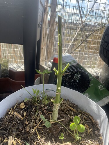 Growreport Bild 8