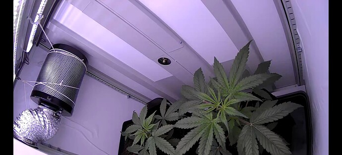 Screenshot_2024-04-25-06-24-04-07_89ed83f5c7ca8fa2c91fc75c50289338