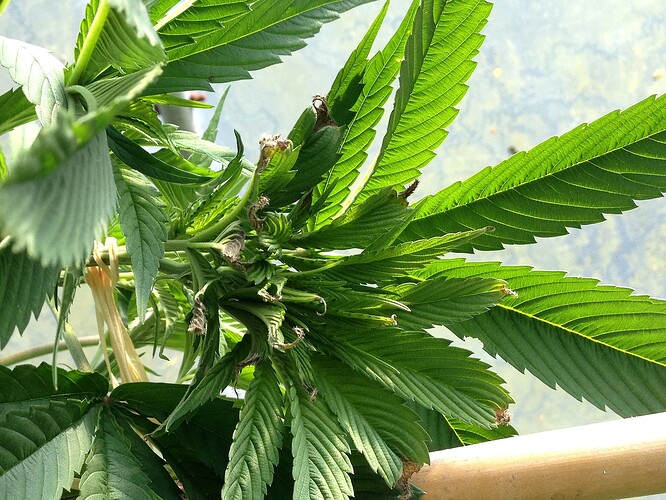 Growreport Bild 10