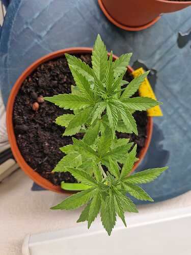 WhatsApp Image 2024-05-27 at 12.39.41