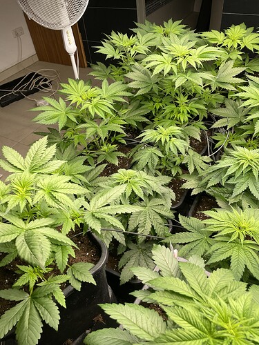 Growreport Bild 8