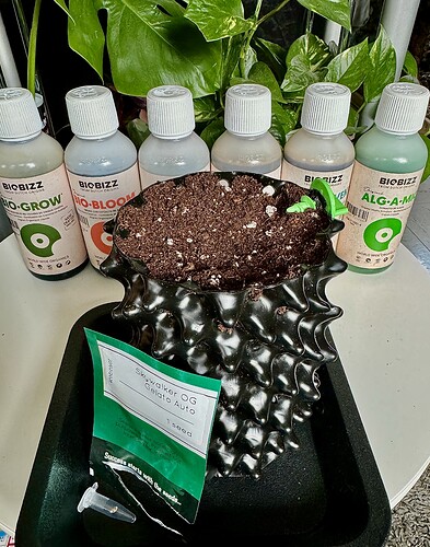 Growreport Bild 1