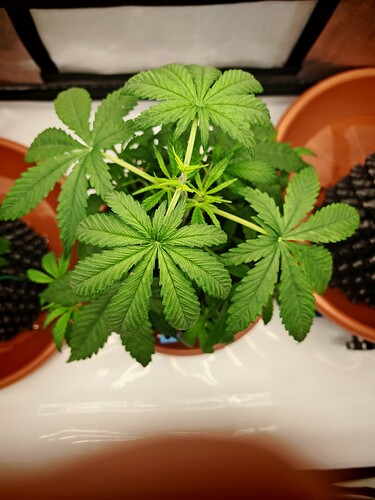 Growreport Bild 13