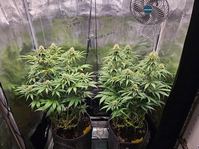 Growreport Bild 20