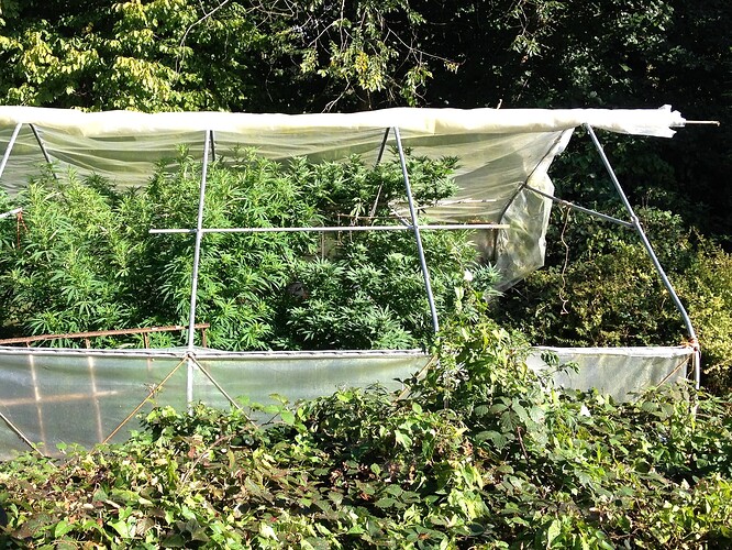 DanceWorld_Euphoria_260cm_Sept25_01