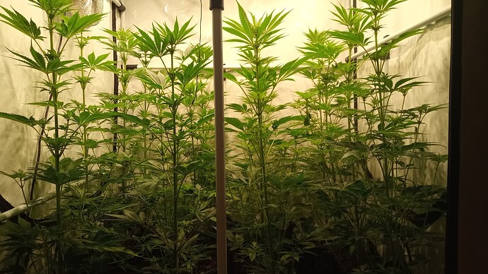 Growreport Bild 19