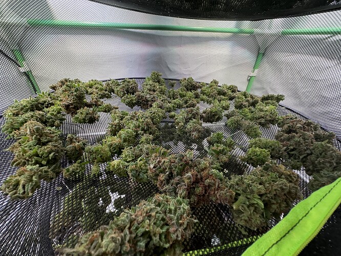 Growreport Bild 16